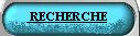 MOTEUR DE RECHERCHE DU SITE